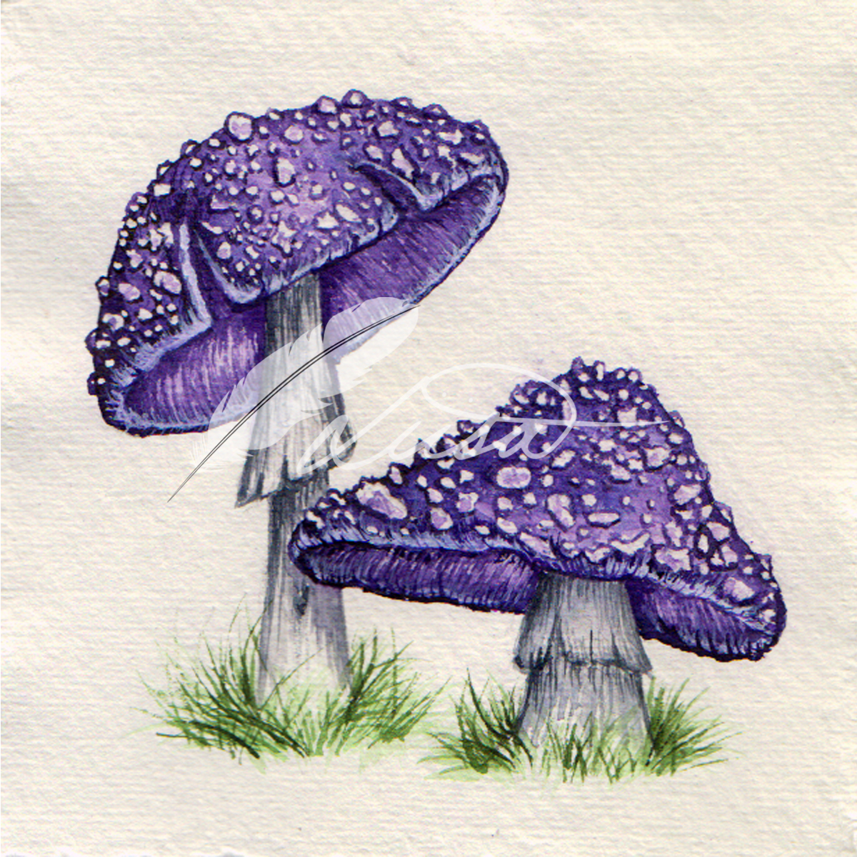 Commission of Pair of Purple Toadstools by Liisa Clark