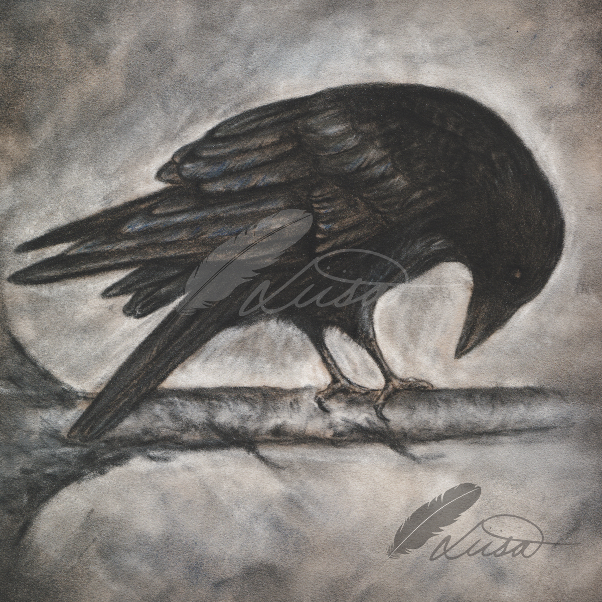 Commission Crow on velour by Liisa Clark
