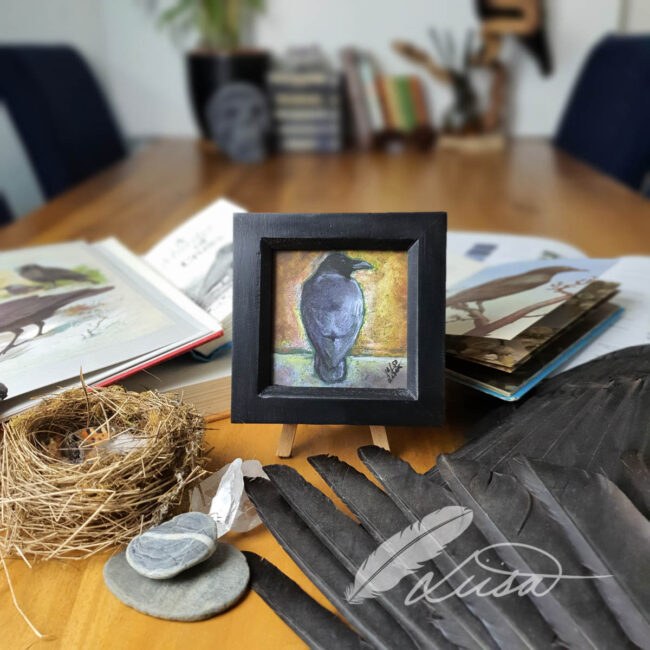 Limited edition Giclee Print of a Crow drawn in Pastels by Artist Liisa Clark Set in a Rustic black Frame