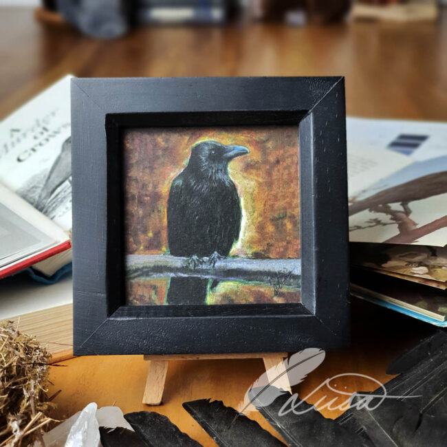Limited edition Giclee Print of a Crow drawn in Pastels by Artist Liisa Clark Set in a Rustic black Frame