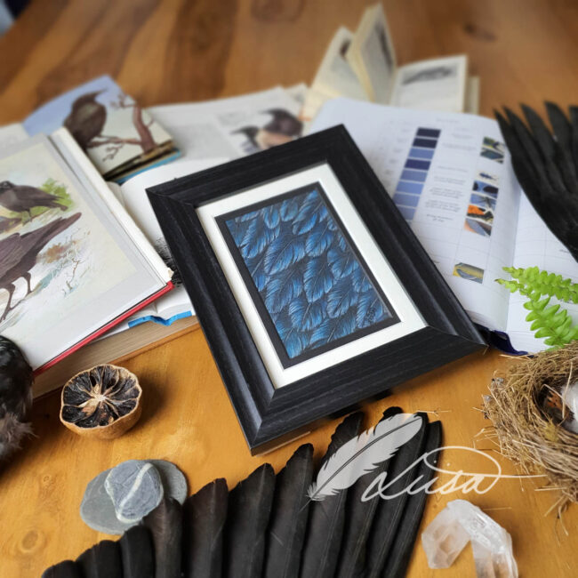 Original Pastel Drawing of Crow feathers set in a White and Black Mount and Frame