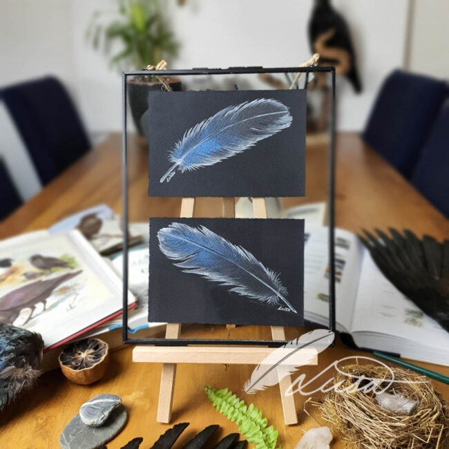Twin Iridescent Black and Blue Feathers in a clear glass frame