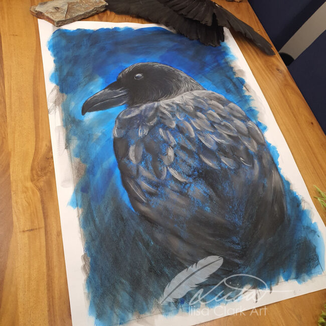 Large Raven Study in Pastels on a painted Background by Liisa Clark Titled Hugin