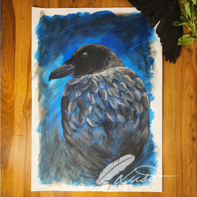 Large Raven Study in Pastels on a painted Background by Liisa Clark Titled Hugin