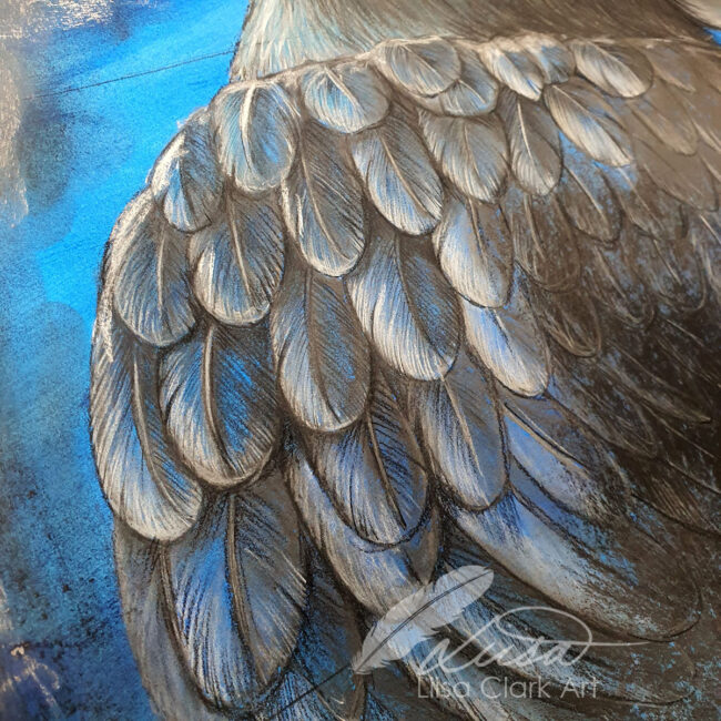 Close up of Large Raven Study in Pastels on a Painted Background by Liisa Clark Titled Munin
