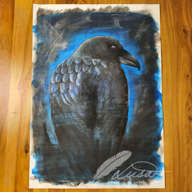 Large Raven Study in Pastels on a Painted Background by Liisa Clark Titled Munin