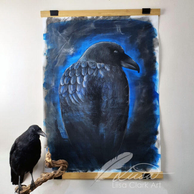 Large Raven Study in Pastels on a Painted Background by Liisa Clark Titled Munin