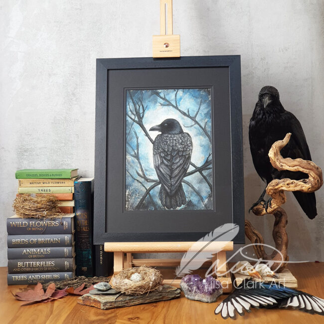 Original Pastel Drawing of a Crow in the Woods set in a Black Mount and Frame by Liisa Clark