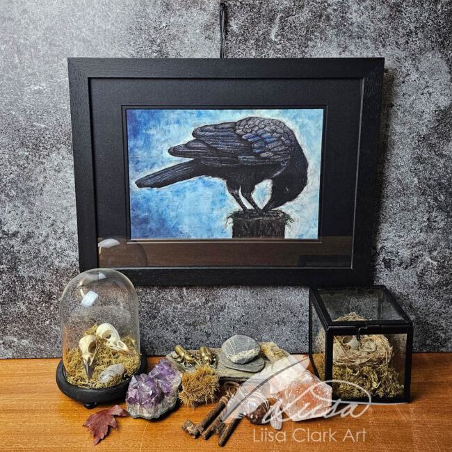 Limited Edition Giclee Print of of a Crow Curiously pecking something titled What is this? Set in a Black Mount and Frame by Liisa Clark