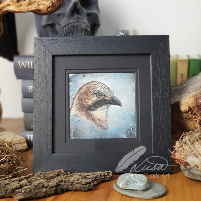 The Corvid Portrait Series Original Pastel Drawing of a Jay set in an Black Mount and Frame by Liisa Clark