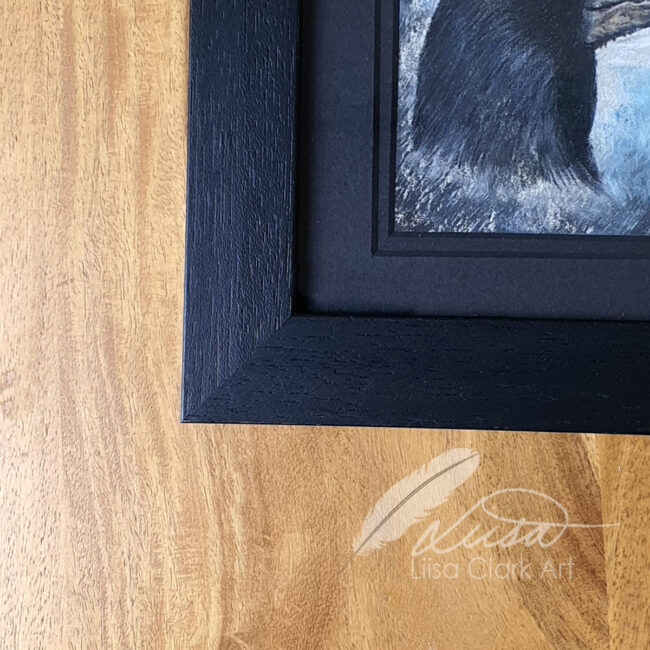 The Corvid Portrait Series Original Pastel Drawing of a Rook set in an Black Mount and Frame by Liisa Clark