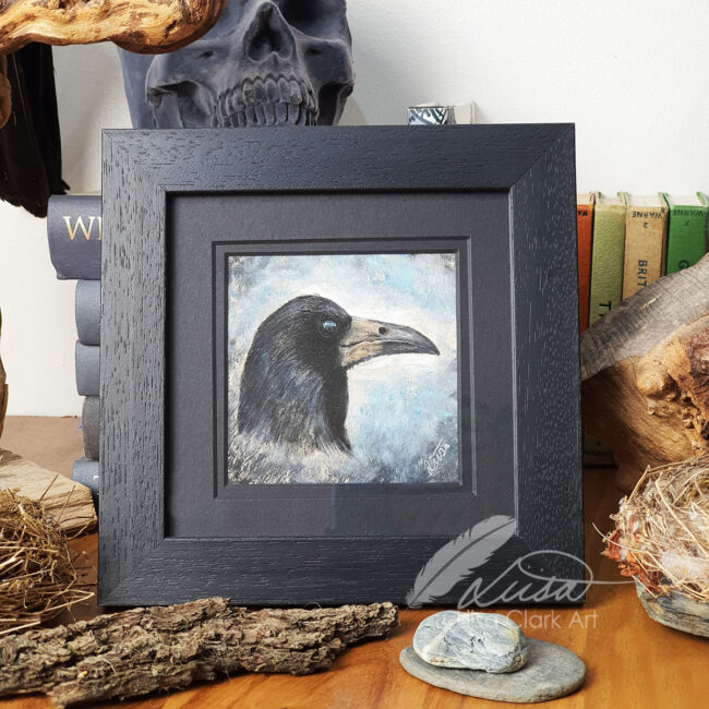 The Corvid Portrait Series Original Pastel Drawing of a Rook set in an Black Mount and Frame by Liisa Clark