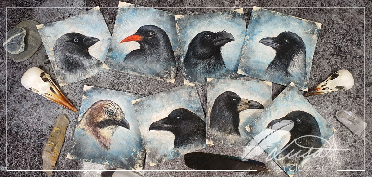 The Corvid Portraits in Pastel on Sanded Pastel Paper by Liisa Clark