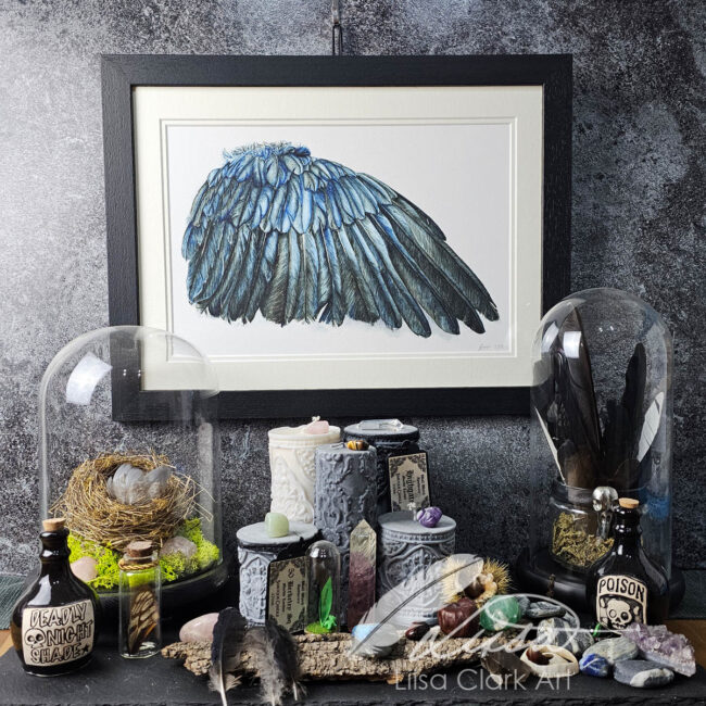 Crow Wing Study Set in a White Double Mount and Black Frame by Liisa Clark