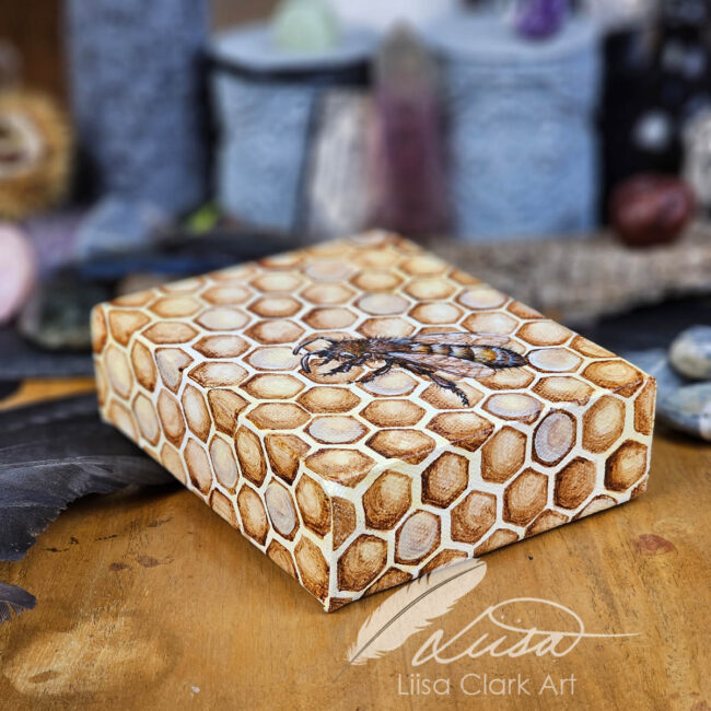 Hand Painted Flying Honey Bee on a Deep Canvas Box Frame with Honeycomb by Liisa Clark