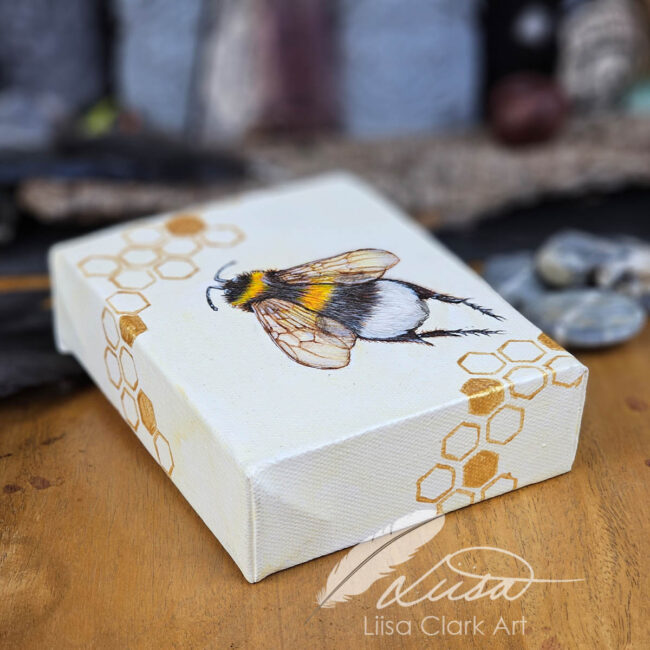 Hand Painted Flying Bumble Bee on a Deep Canvas Box Frame with Gold Honeycomb by Liisa Clark