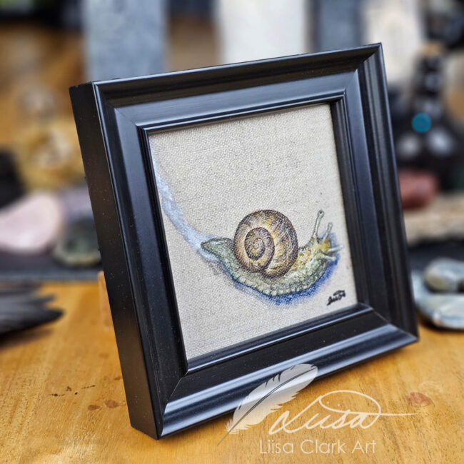 Hand Painted Original of a lovely Snail set on a natural Linen panel set in a wooden Black frame by Liisa Clark