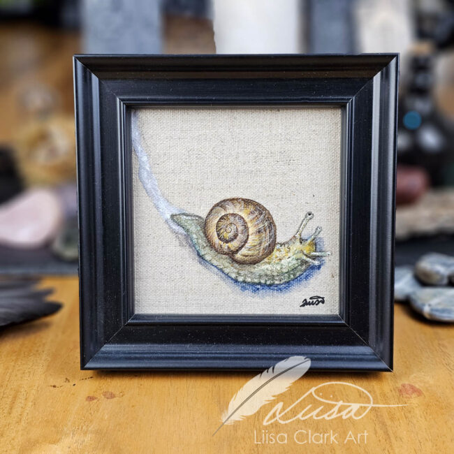 Hand Painted Original of a lovely Snail set on a natural Linen panel set in a wooden Black frame by Liisa Clark