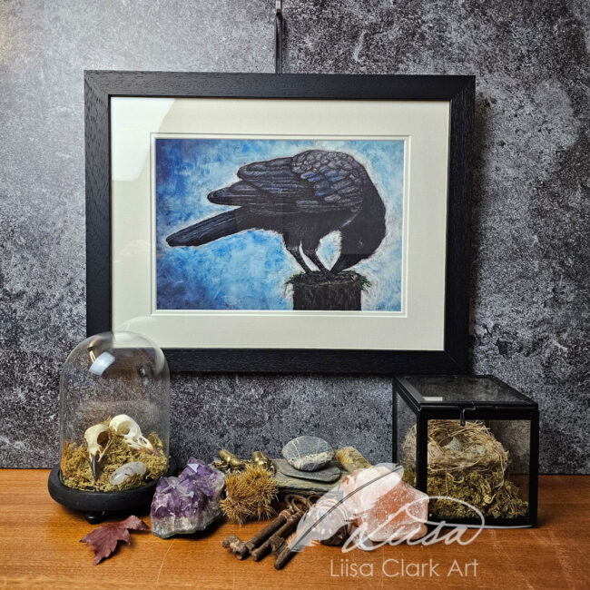 imited Edition Giclee Print of of a Crow Curiously pecking something titled What is this? Set in a White Double Mount and Black Frame by Liisa Clark