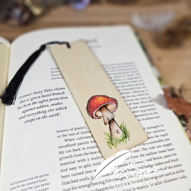 Single Fly Agaric Handpainted Reclaimed wood Bookmark by Liisa Clark