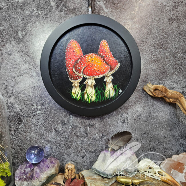 Circular Fly Agaric Toadstool Painting on Canvas Panel Set in a Black Frame by Liisa Clark