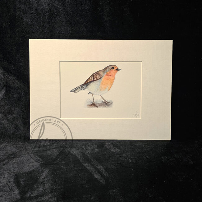 Liisa Clark Art Cheerful Robin Print Set In a White Mount and Ready for you to frame