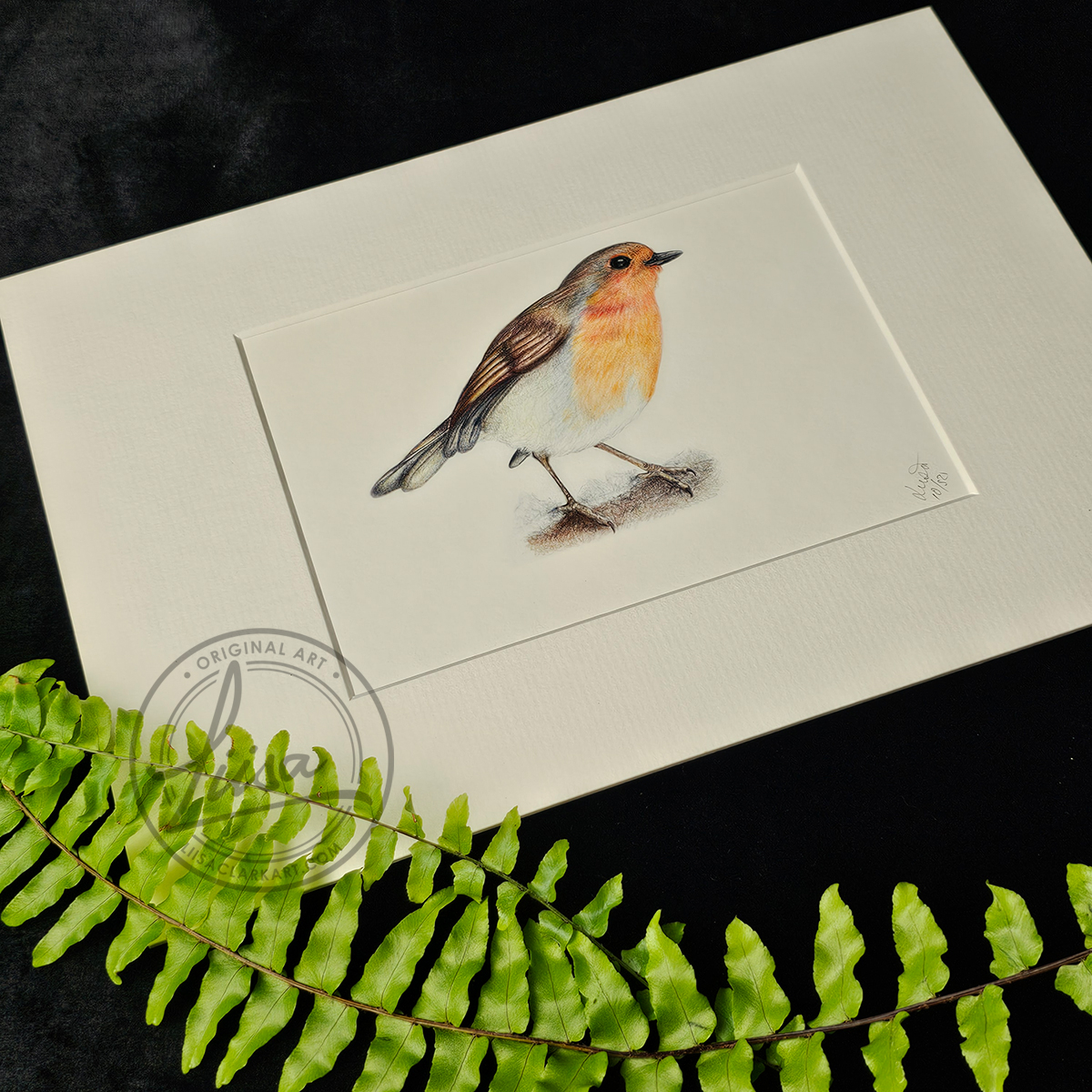 Liisa Clark Art Cheerful Robin Print Set In a White Mount and Ready for you to frame