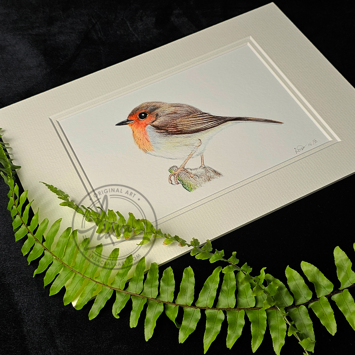 Liisa Clark Art Chubby Robin Print Set In a Double White Mount and Ready for you to frame