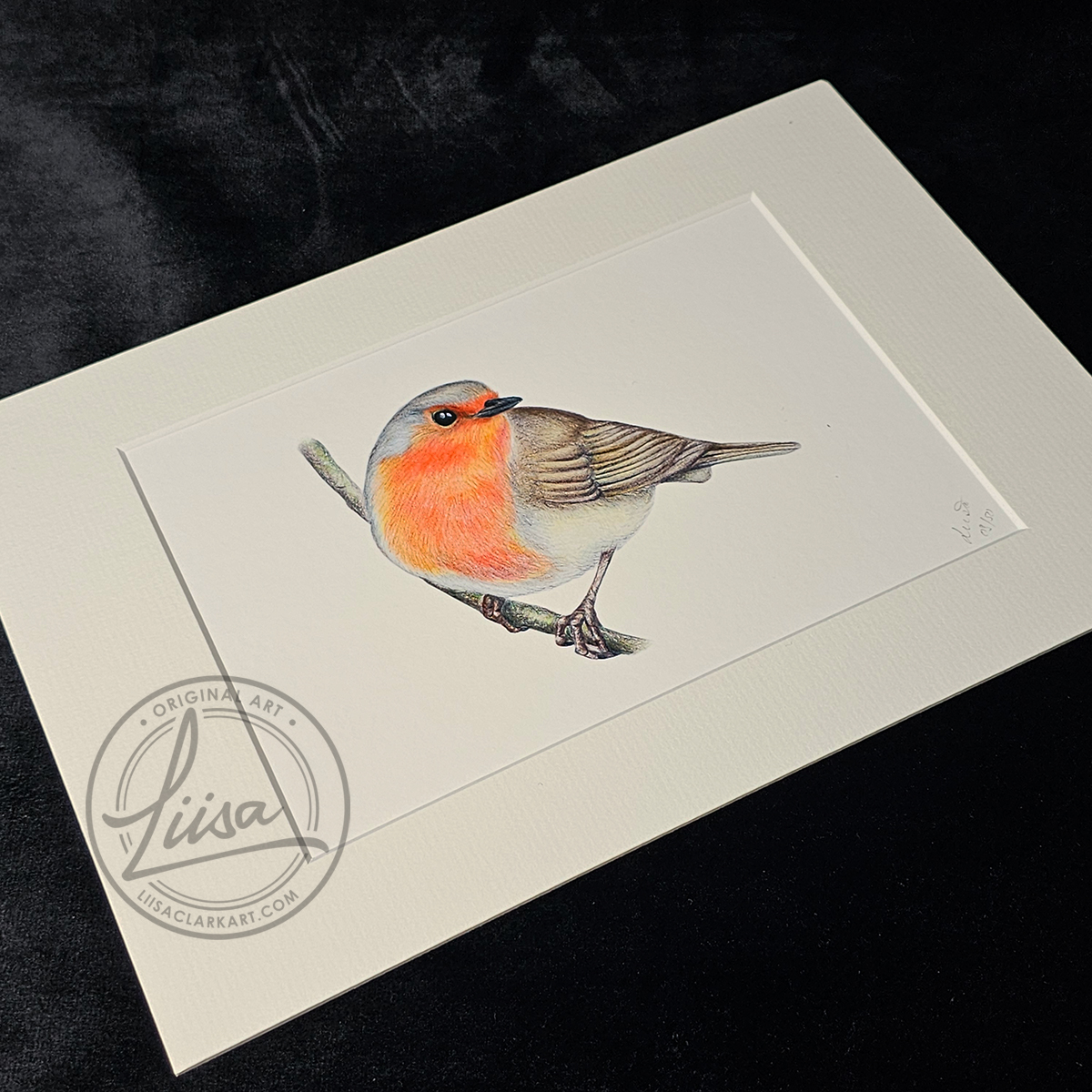 Liisa Clark Art curious Robin Print Set In a White Mount and Ready for you to frame