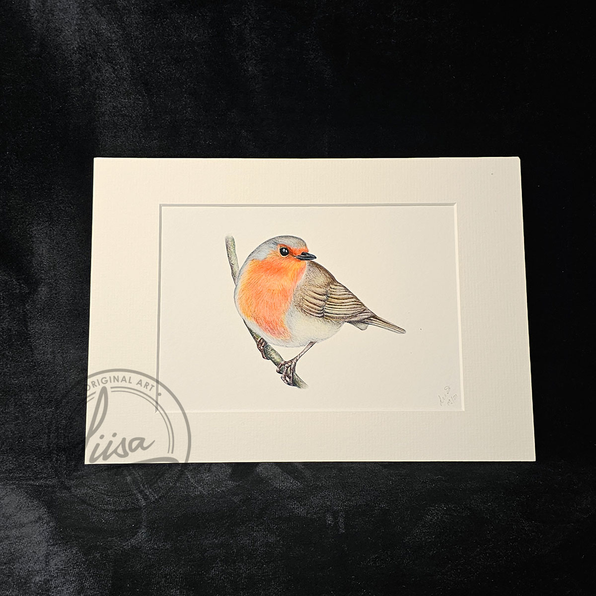 Liisa Clark Art curious Robin Print Set In a White Mount and Ready for you to frame