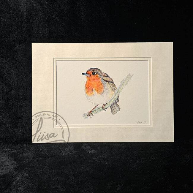 Liisa Clark Art Cute Robin Print Set In a Double White Mount and Ready for you to frame