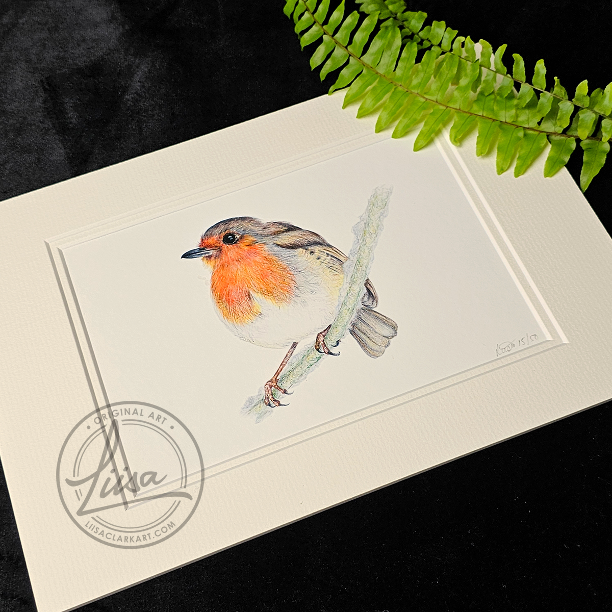 Liisa Clark Art Cute Robin Print Set In a Double White Mount and Ready for you to frame