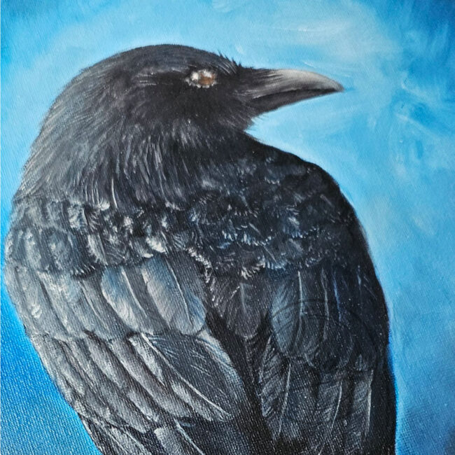 Close up showing the details of Liisa Clark Art Original Oil painting of a Crow sitting on Tree Stump set in a Contemporary Black Wood Frame titled Contemplation