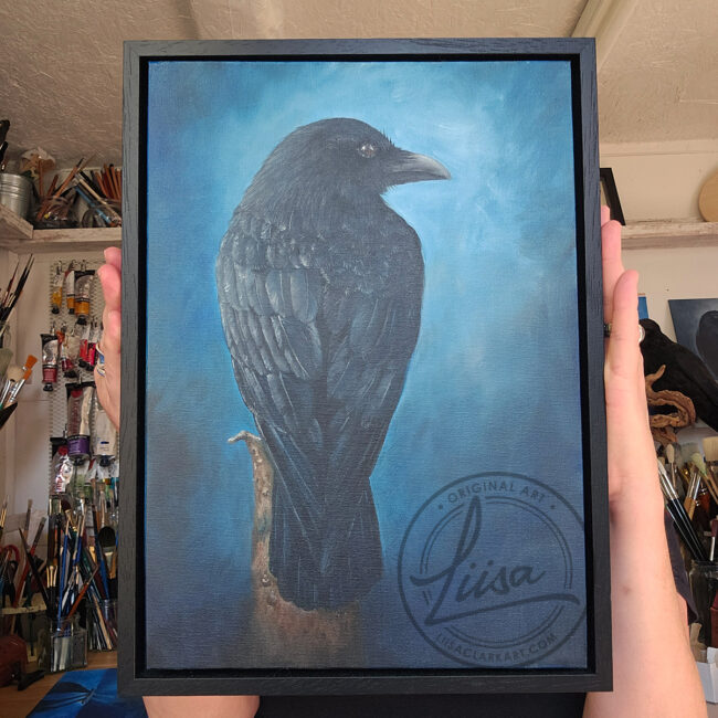 Original Oil painting of a Crow sitting on Tree Stump set in a Contemporary Black Wood Frame titled Contemplation Painted by Artist Liisa Clark