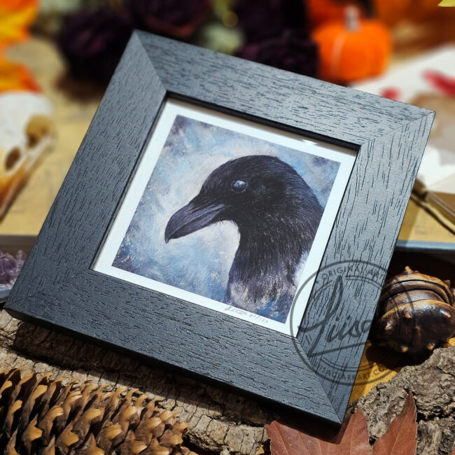 The Corvid Portrait Series Fine Art Print of a Magpie set in an Black Frame by Liisa Clark