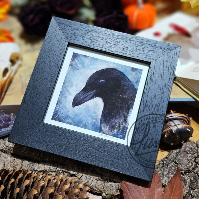 The Corvid Portrait Series Fine Art Print of a Magpie set in an Black Frame by Liisa Clark