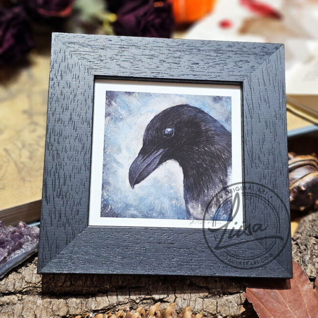The Corvid Portrait Series Fine Art Print of a Magpie set in an Black Frame by Liisa Clark