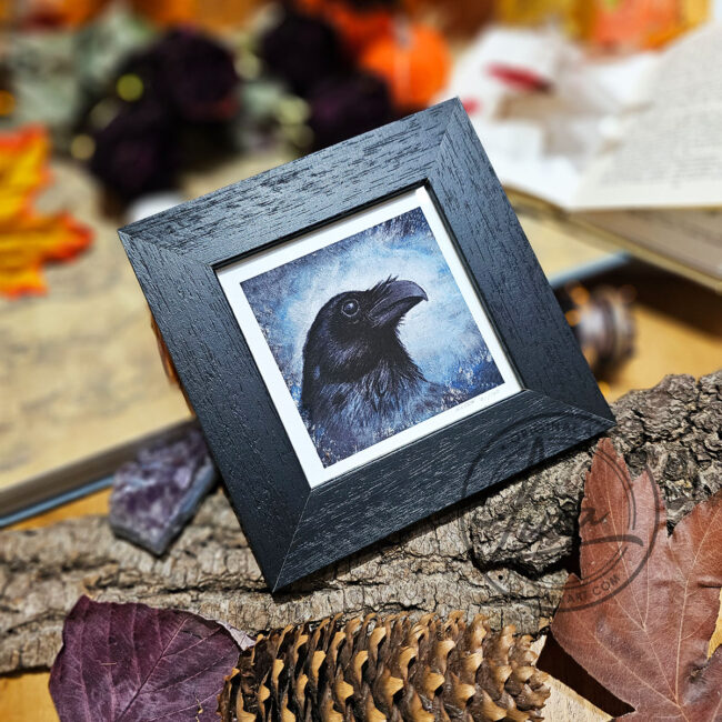 The Corvid Portrait Series Fine Art Print of Raven set in an Black Frame by Liisa Clark