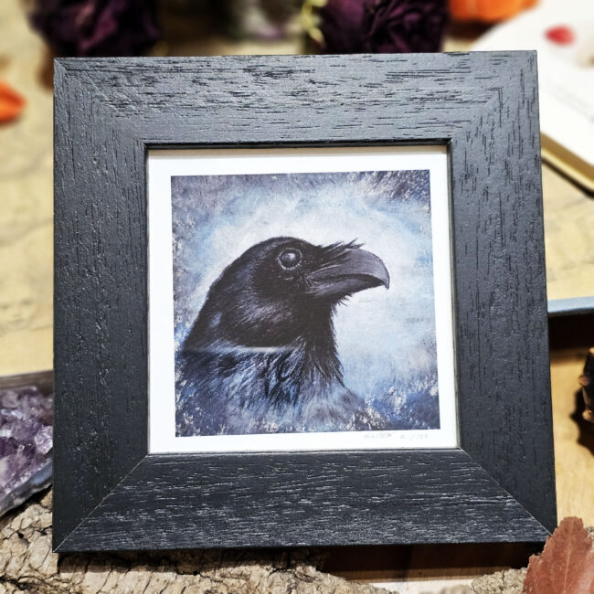 The Corvid Portrait Series Fine Art Print of Raven set in an Black Frame by Liisa Clark