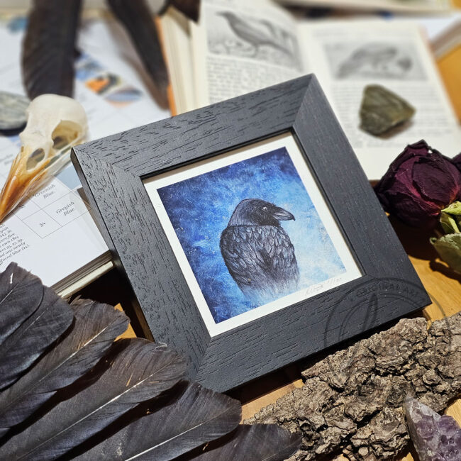 Blue Raven Limited Edition Giclee Fine Art Print set in a Contemporary Black Frame by Liisa Clark