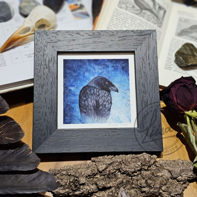 Blue Raven Limited Edition Giclee Fine Art Print set in a Contemporary Black Frame by Liisa Clark