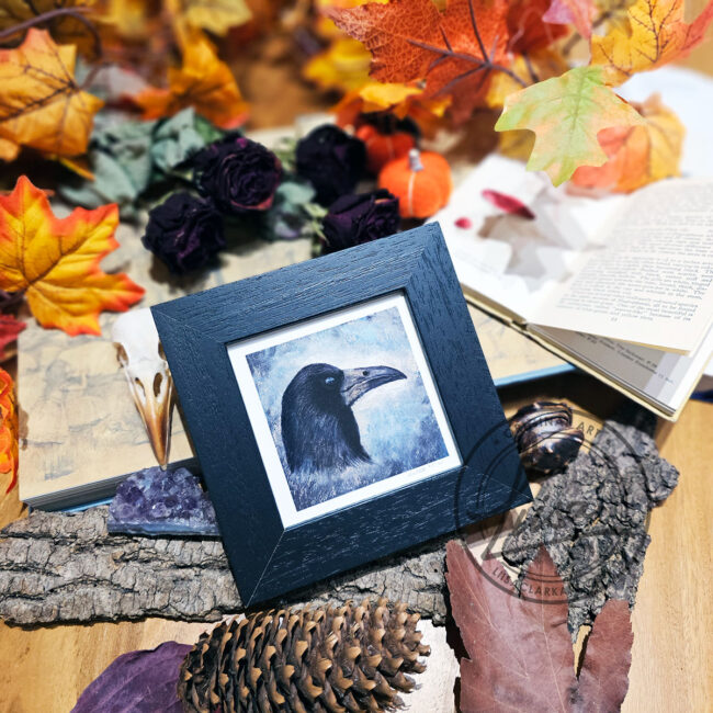 The Corvid Portrait Series Fine Art Print of Rook set in an Black Frame by Liisa Clark