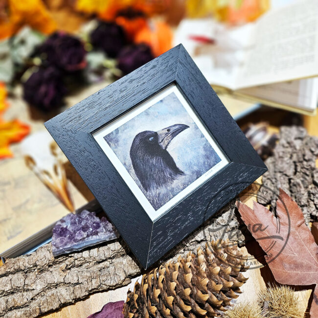 The Corvid Portrait Series Fine Art Print of Rook set in an Black Frame by Liisa Clark