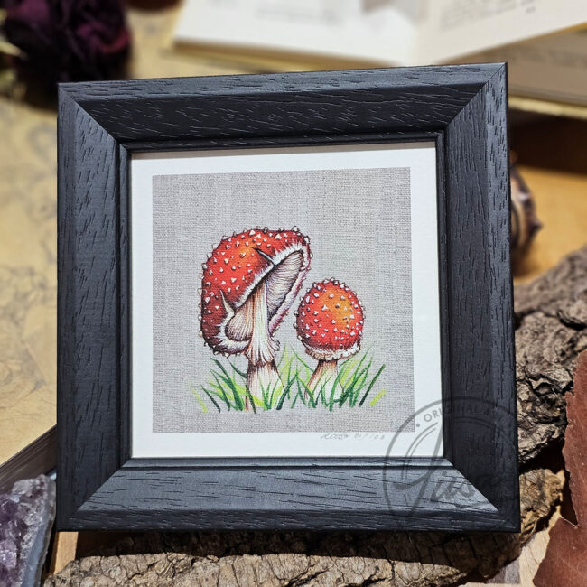 Limited Edition Giclee Art Print of a Pair of Fly Agaric Toadstools Painted on a Linen Panel Set in a Black Contemporary Frame by Liisa Clark