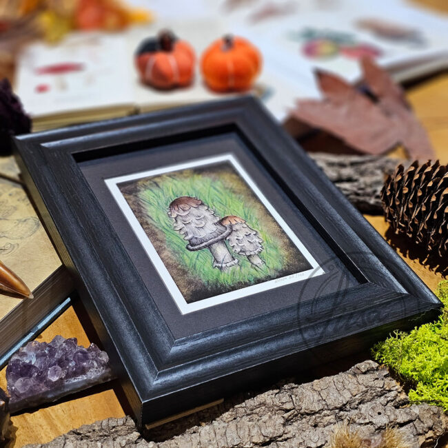 Limited Edition Giclee Art Print of a Pair of Shaggy Ink Cap Toadstools nestled in Grass Originally On Velour Pastel Paper Set in a Black Contemporary Frame by Liisa Clark