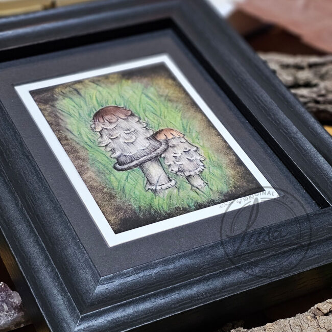 Limited Edition Giclee Art Print of a Pair of Shaggy Ink Cap Toadstools nestled in Grass Originally On Velour Pastel Paper Set in a Black Contemporary Frame by Liisa Clark