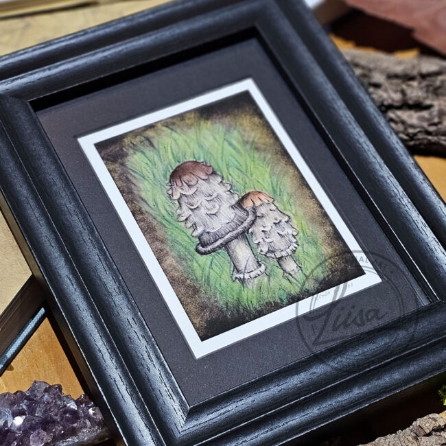 Limited Edition Giclee Art Print of a Pair of Shaggy Ink Cap Toadstools nestled in Grass Originally On Velour Pastel Paper Set in a Black Contemporary Frame by Liisa Clark