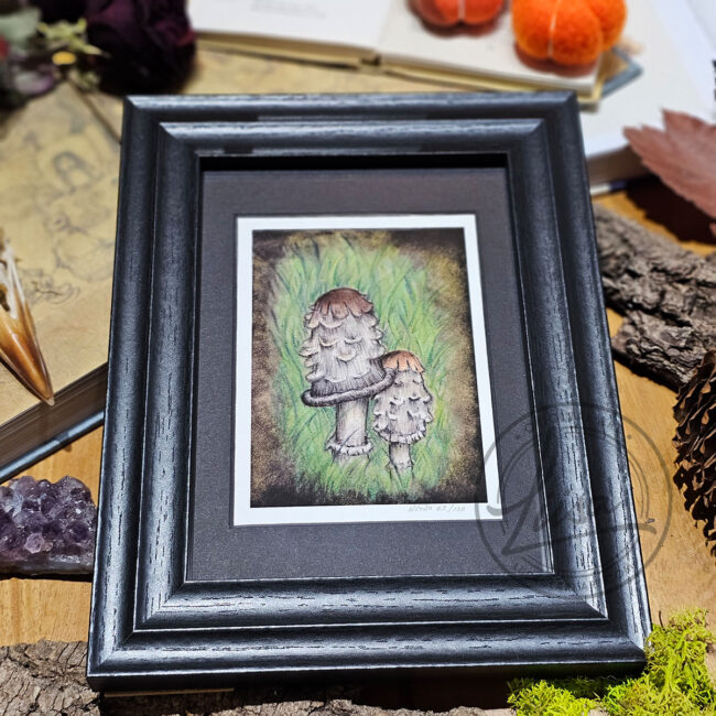 Limited Edition Giclee Art Print of a Pair of Shaggy Ink Cap Toadstools nestled in Grass Originally On Velour Pastel Paper Set in a Black Contemporary Frame by Liisa Clark
