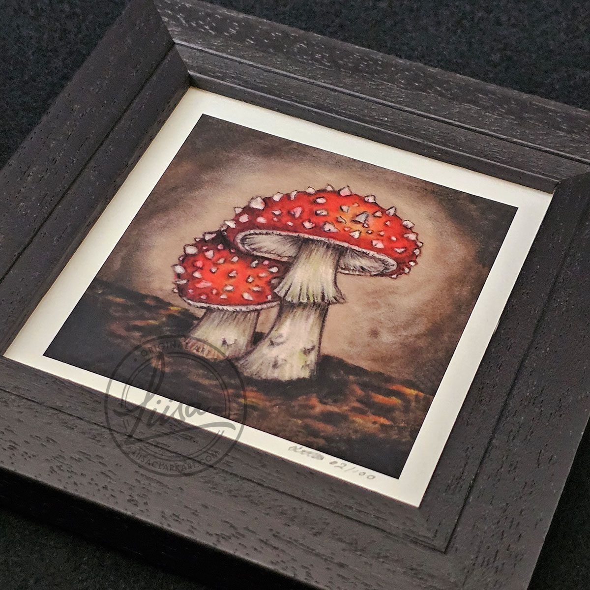 Limited Edition Giclee Art Print of a Pair of Fly Agaric Toadstools Originally On Velour Pastel Paper Set in a Black Contemporary Frame by Liisa Clark