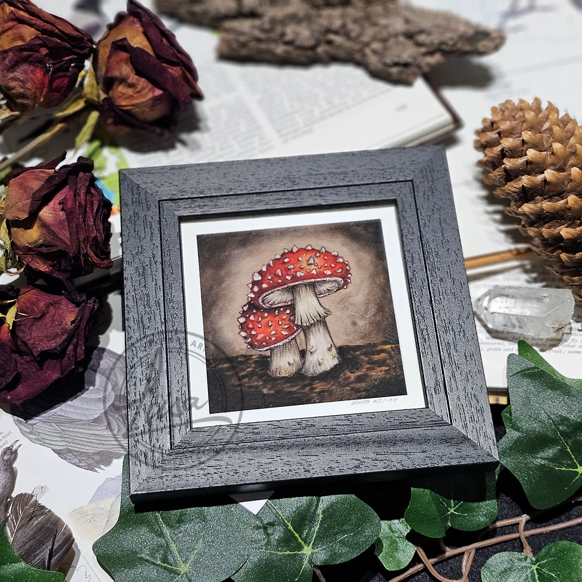 Limited Edition Giclee Art Print of a Pair of Fly Agaric Toadstools Originally On Velour Pastel Paper Set in a Black Contemporary Frame by Liisa Clark